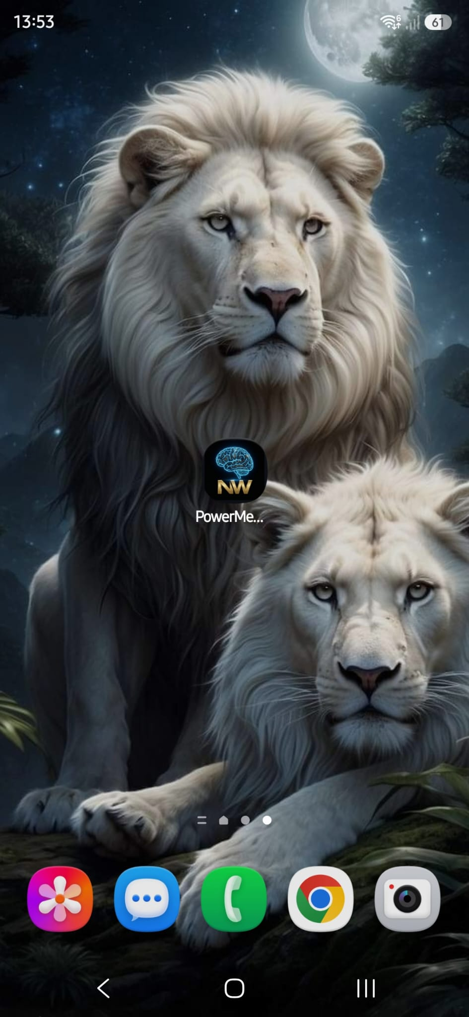 PowerMemory installed on a phone home screen